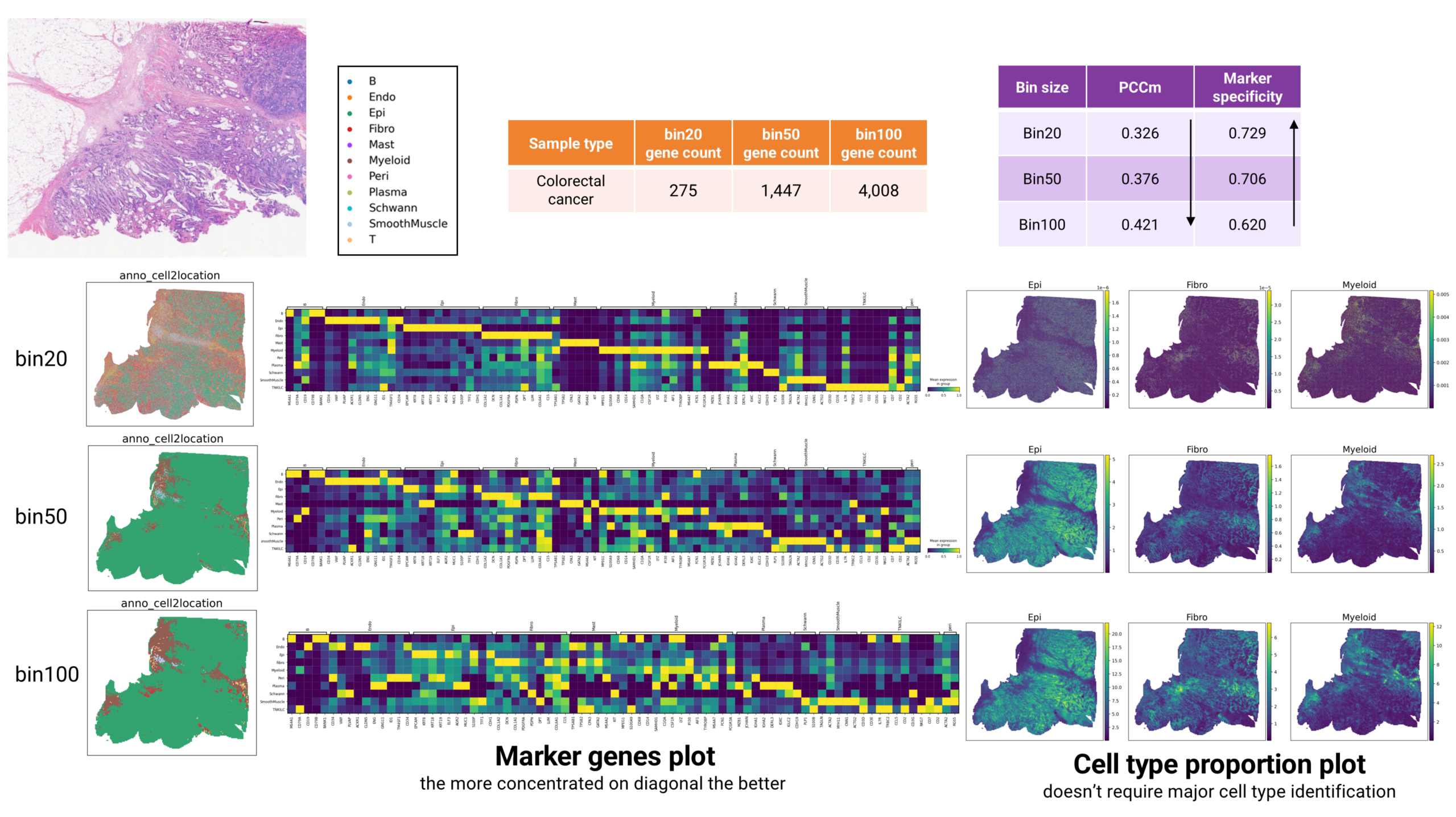 Figure 6 The effect of bin size in annotation